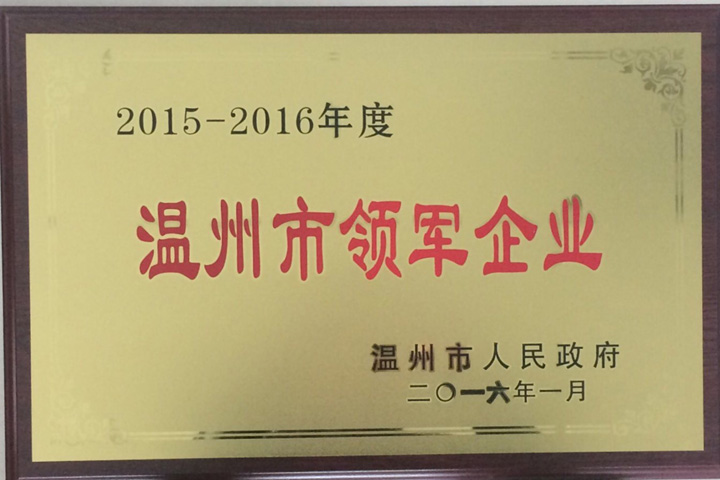 “2015—2016年度温州市领军企业”——浙江银河集团(galaxy)榜上有名